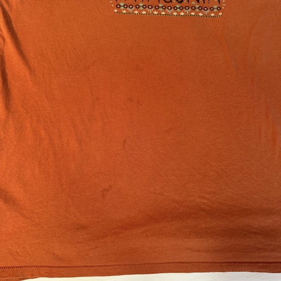 Patagonia Fitz Roy Graphic Short Sleeve V Neck Tee Shirt - L - Picture 12 of 16